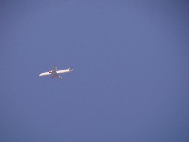 14-03-2004 14-43-57.JPG